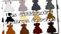 Les différentes couleurs de robes.