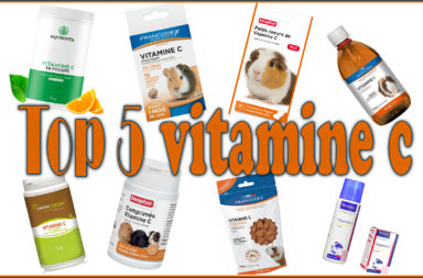 Top 5 des meilleurs marques de vitamine C pour mon cochon d'Inde.