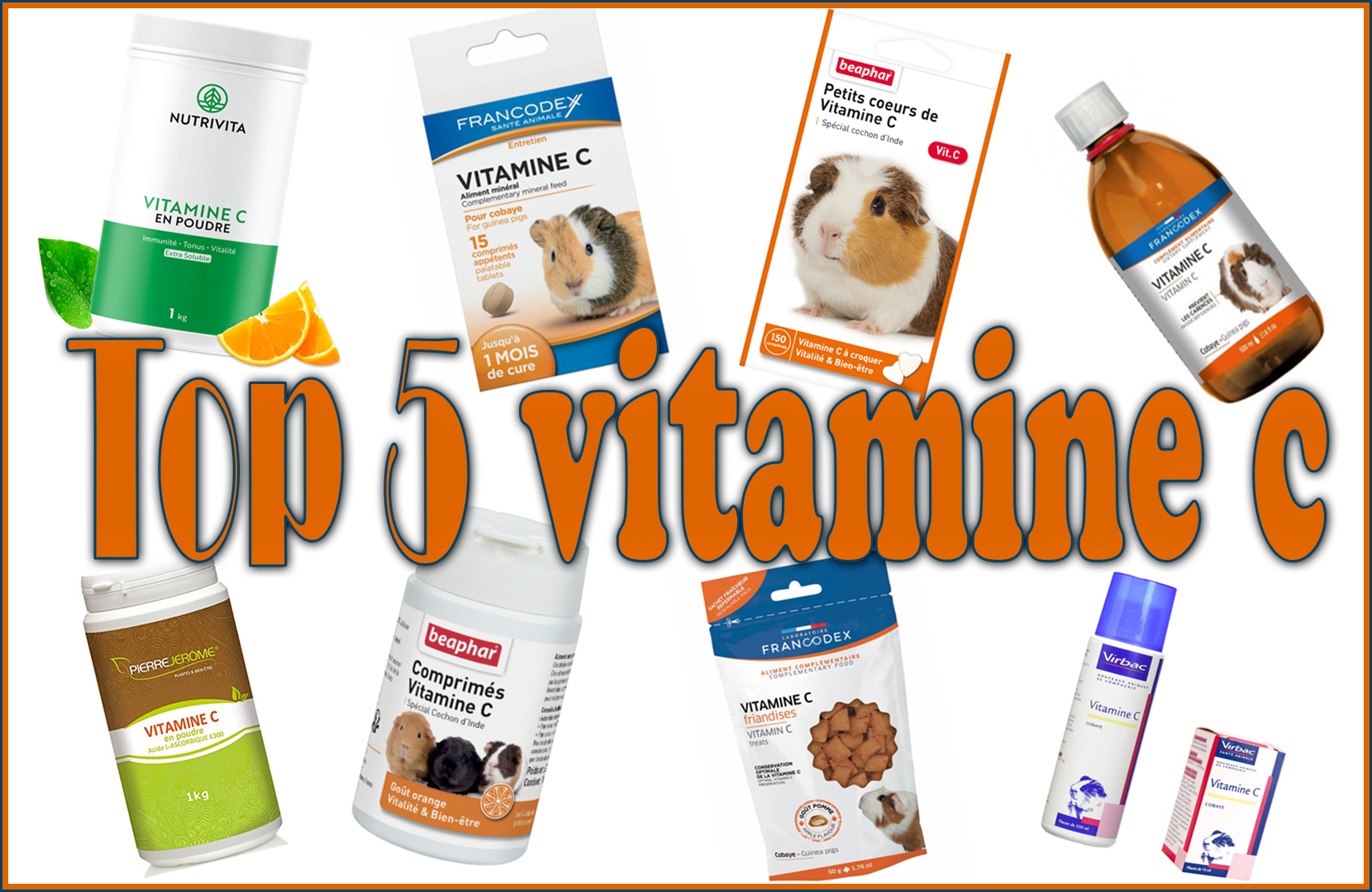 Comprimés de Vitamine C - Vitalvéto - Pour cochon d'inde - x 40